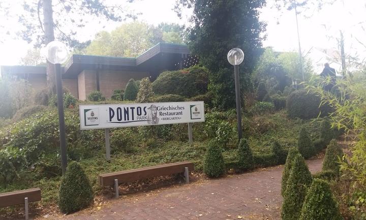 Pontospark